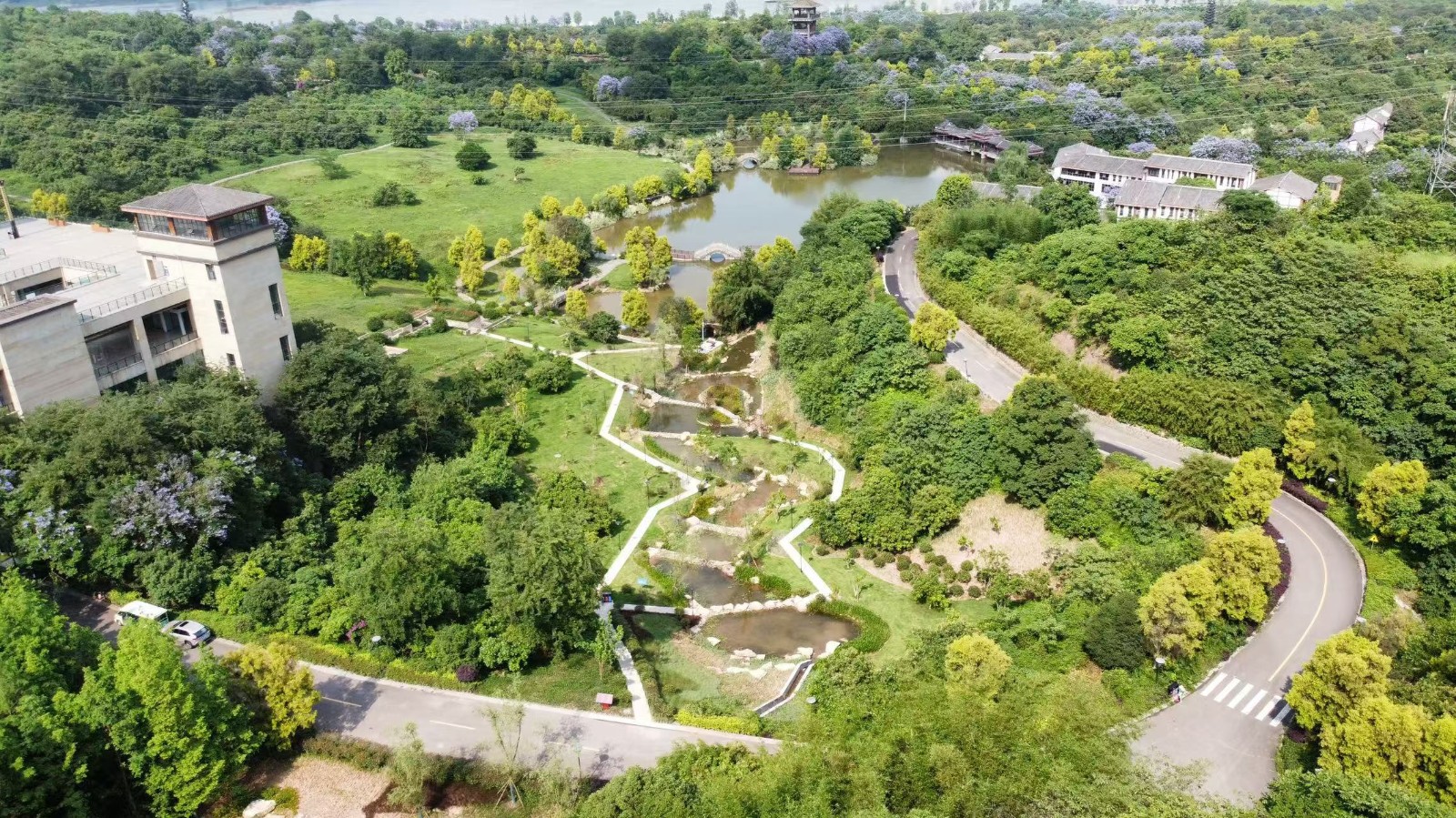 今年会jinnianhui园林绿化维护